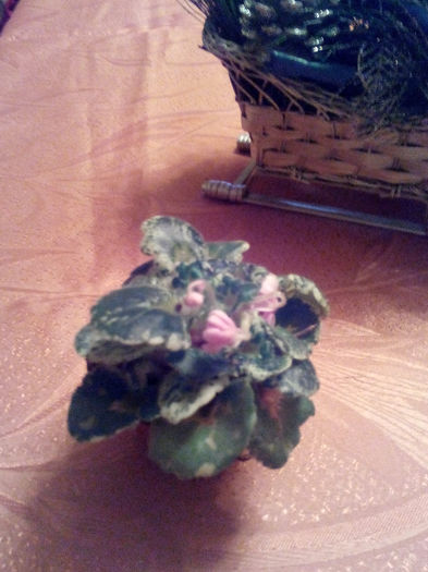 IMG_20140204_175732 - Diverse 1