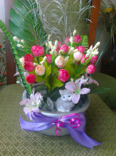 Fotografie0521; Pisicuta o duce cel mai bine !
