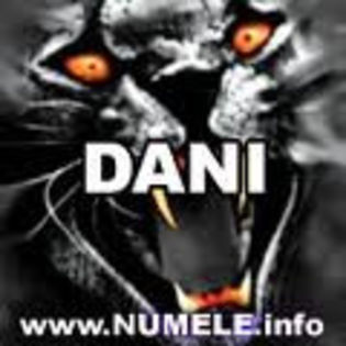 dani