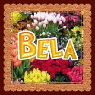 bela