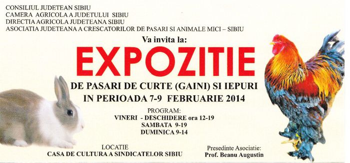 IMG - 5 Expo Sibiu 2014 - iepurii mei