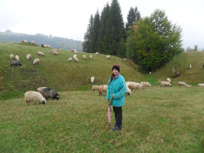 SAM_3832 - toamna anului2013