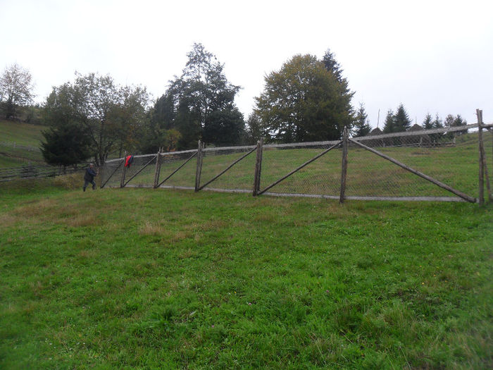 SAM_3893 - toamna anului2013