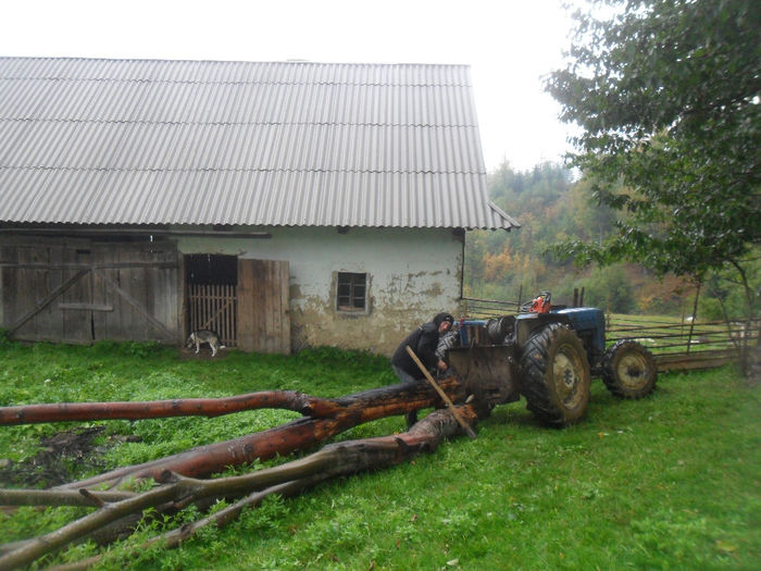 SAM_3912 - toamna anului2013