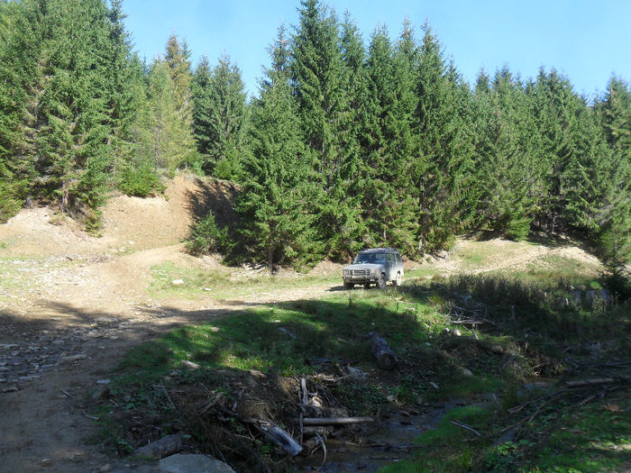 SAM_3941 - toamna anului2013