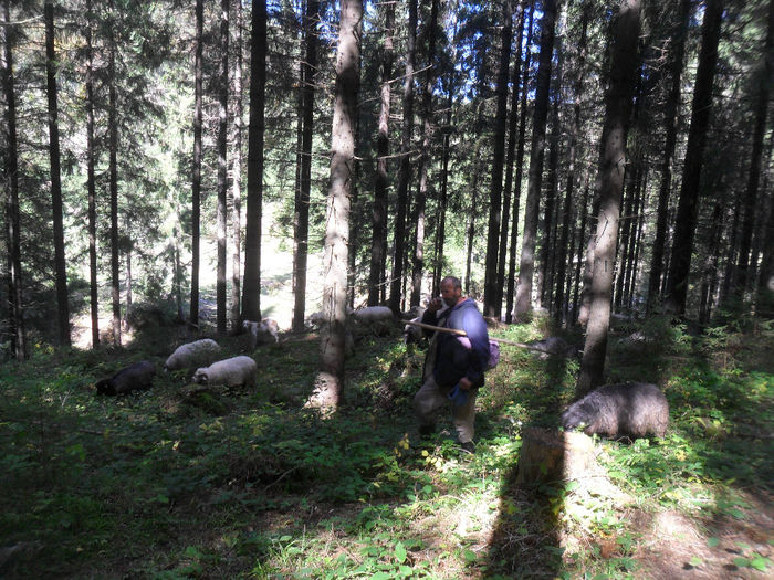 SAM_3954 - toamna anului2013