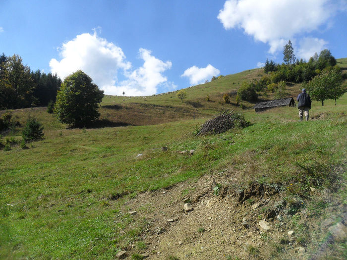SAM_3977 - toamna anului2013