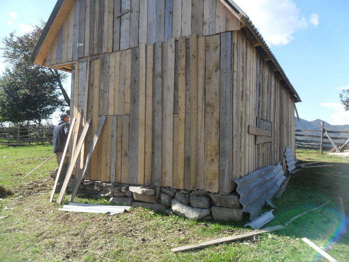 SAM_3981 - toamna anului2013