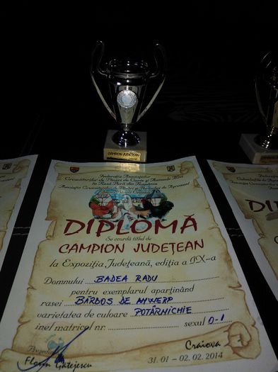 WP_005445 - campionatul judetean  craiova ian2014