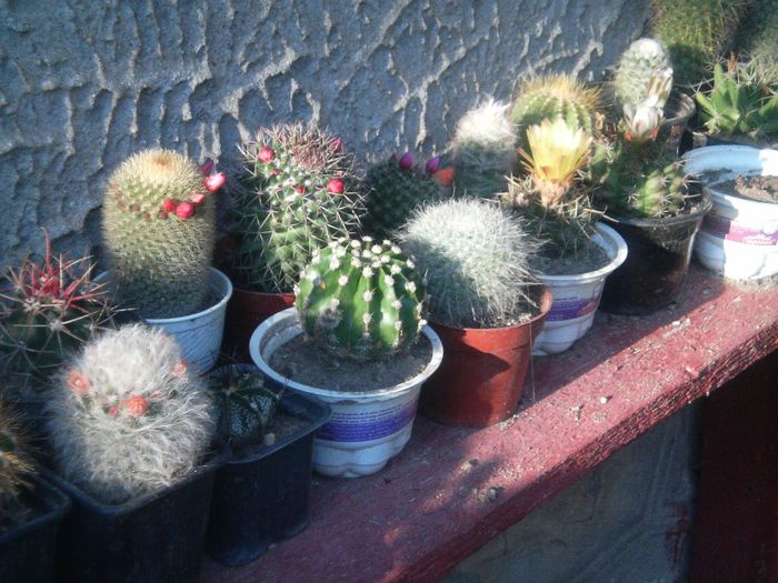 Image029