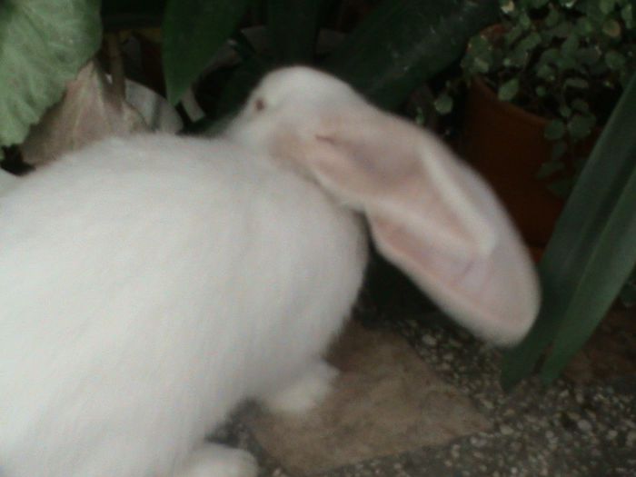 DSC00256