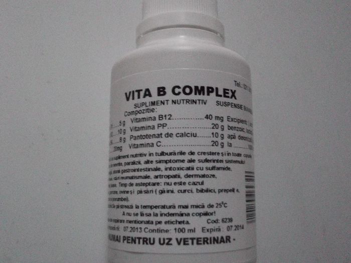 VITA B COMPLEX 100 ML 13 RON