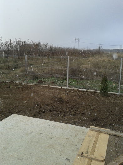 20131208_143552; Prima ninsoare
