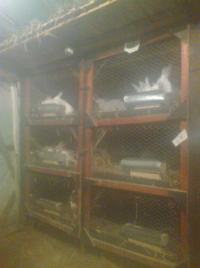 Fotografie0396 - Custile