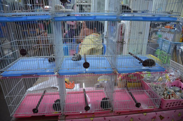 Thai 413 - Bangkok-piata de animale