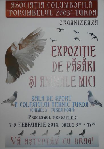 146321 vizite - O- Expozitie Turda 2014