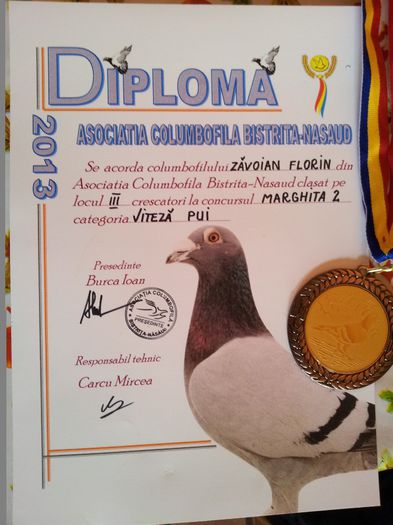 2013 - Diplome