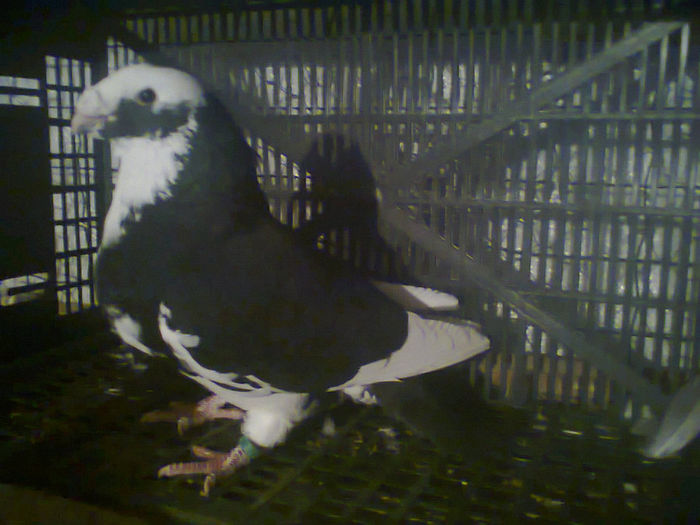 Fotografie3136.M.2013.