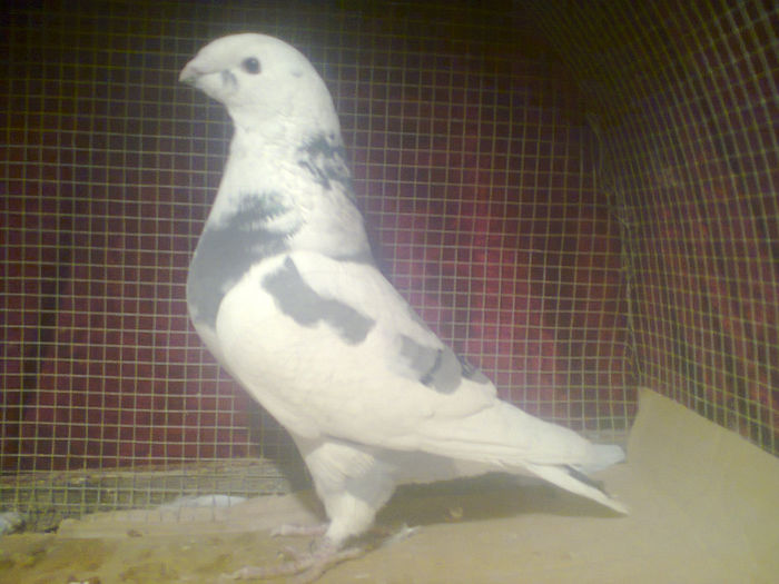 Fotografie2562.F.2013.