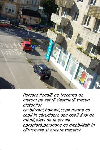 PARCARE PE ZEBRA. - DE GUSTIBUS  ET COLORIBUS NON DISPUTANDUM