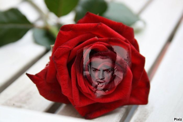 d14f3f45b2e3caea7905f0a86e0facac