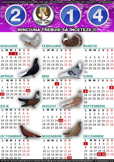 calendar-2014 ACPJG