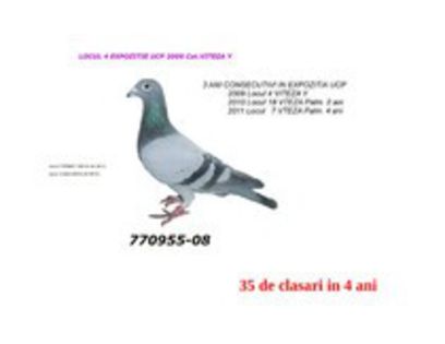 53007616_NFNAANY2