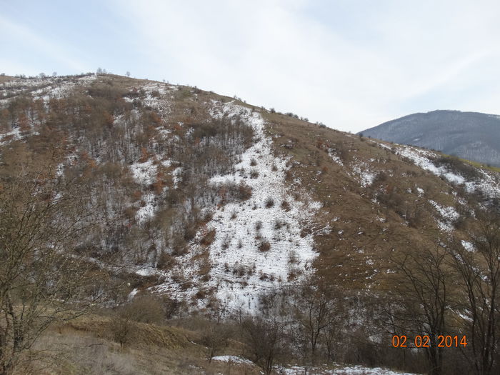 DSC00884