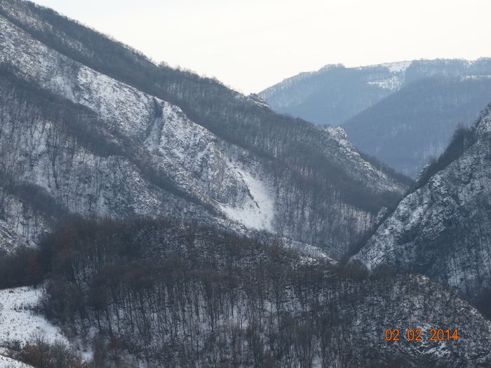 DSC00890