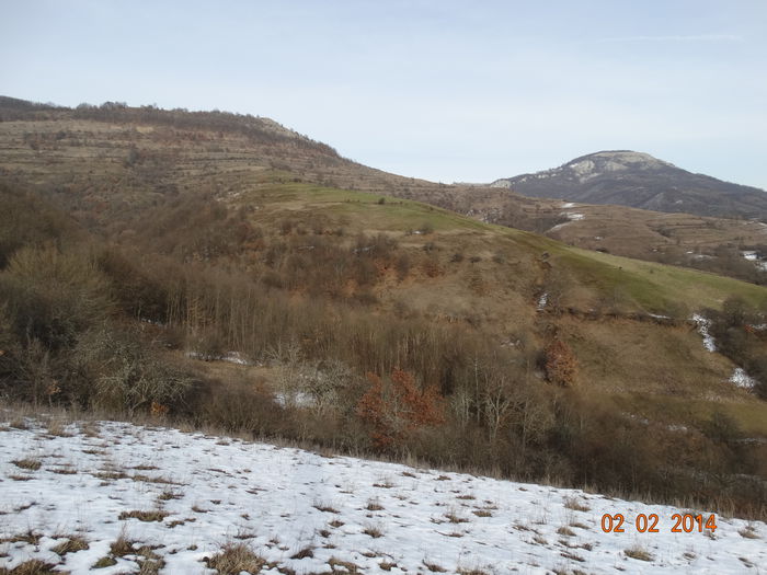 DSC00897