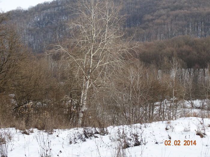 DSC00900