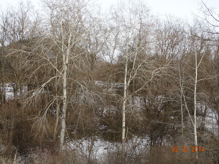 DSC00905