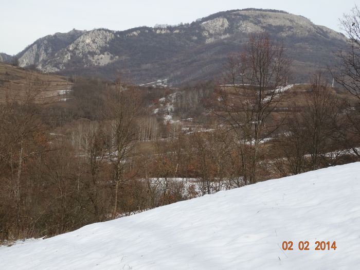 DSC00913