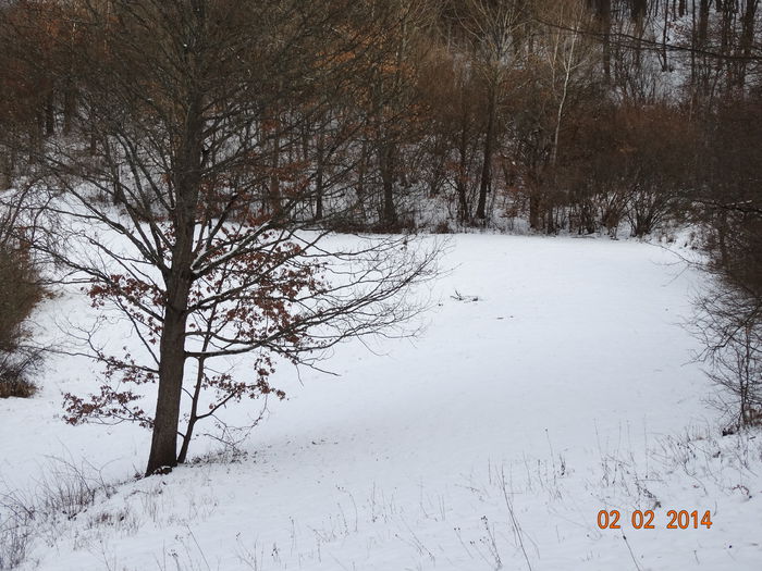 DSC00914