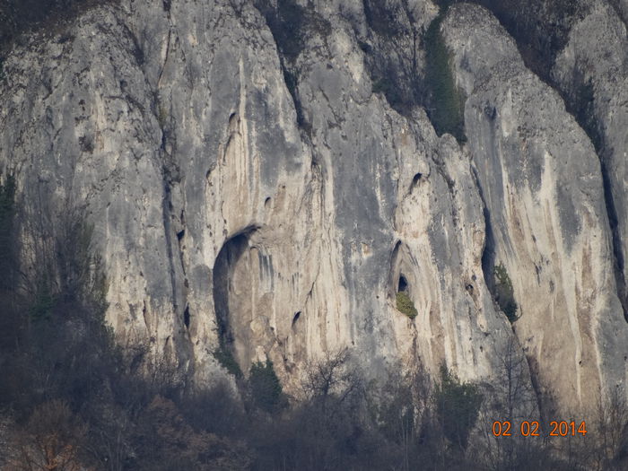 DSC00916
