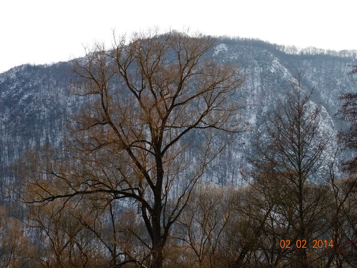 DSC00946