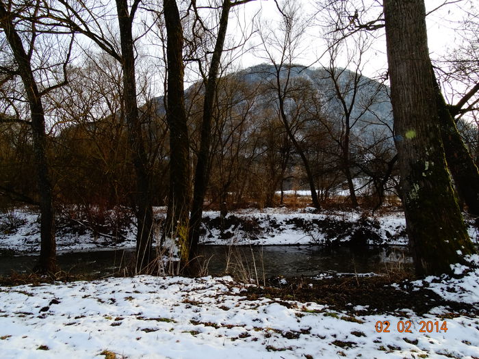 DSC00948