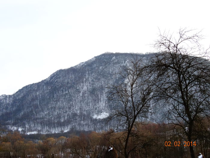 DSC00986