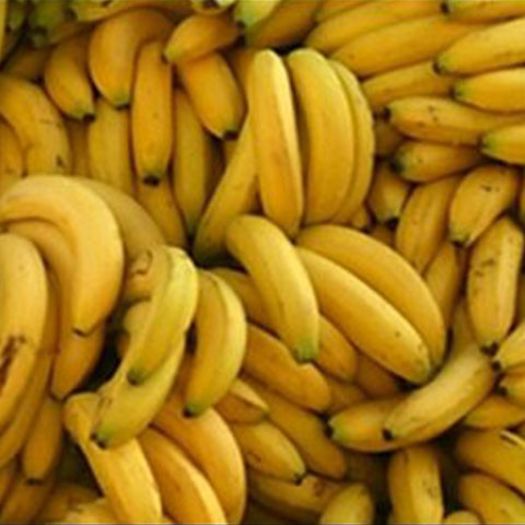 25 - ALEGETI-VA O POZA LIBERA CU FRUCTUL BANANA