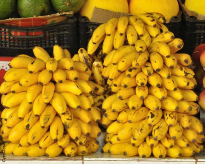 32 - ALEGETI-VA O POZA LIBERA CU FRUCTUL BANANA