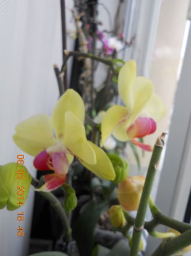 DSCN4465