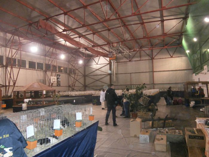 P2060025 - S- Expozitie Gherla 2014