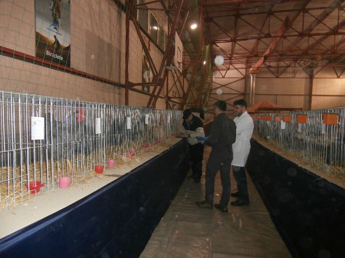 P2060031 - S- Expozitie Gherla 2014