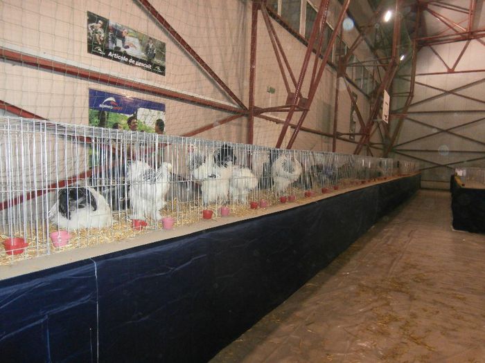 P2060039 - S- Expozitie Gherla 2014