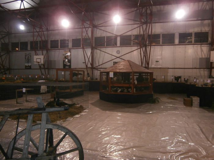 P2060045 - S- Expozitie Gherla 2014