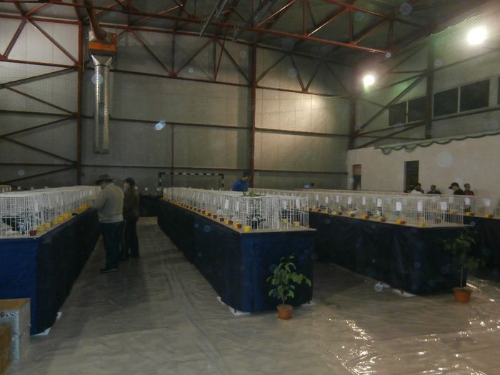 P2060047 - S- Expozitie Gherla 2014