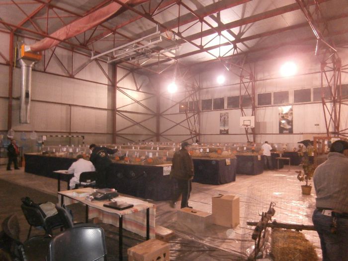 P2060048 - S- Expozitie Gherla 2014