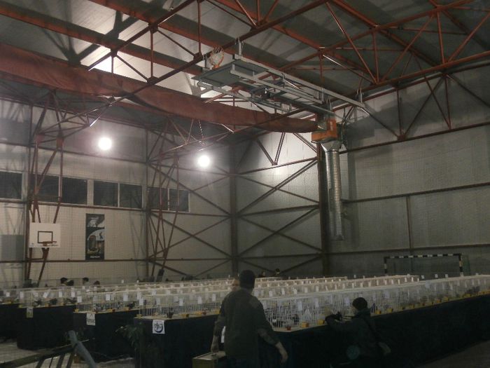 P2060051 - S- Expozitie Gherla 2014