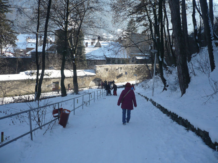 P1070605 - 2014 - 3-6 februarie -continuare