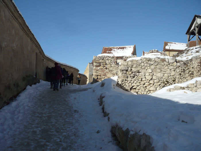 P1070665 - 2014 - 3-6 februarie -continuare